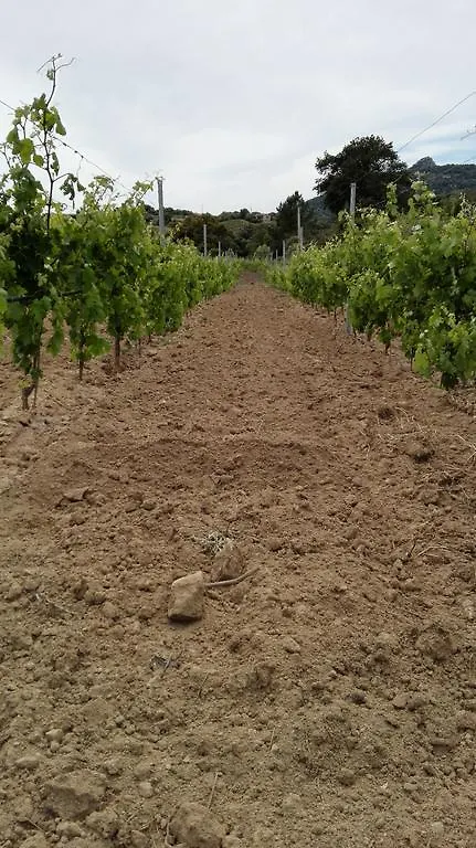 Agriturismo B&B Domo De Resteblas Berchidda