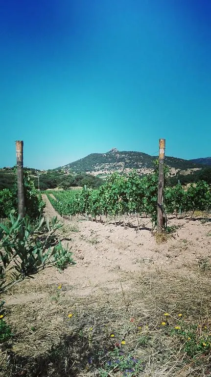 Agriturismo B&B Domo De Resteblas Berchidda