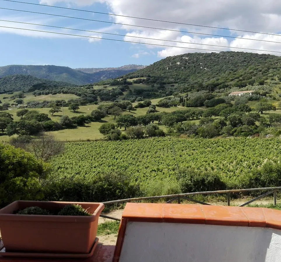 Agriturismo B&B Domo De Resteblas Berchidda Bed and breakfast