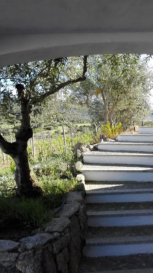 Agriturismo B&B Domo De Resteblas Berchidda Bed and breakfast